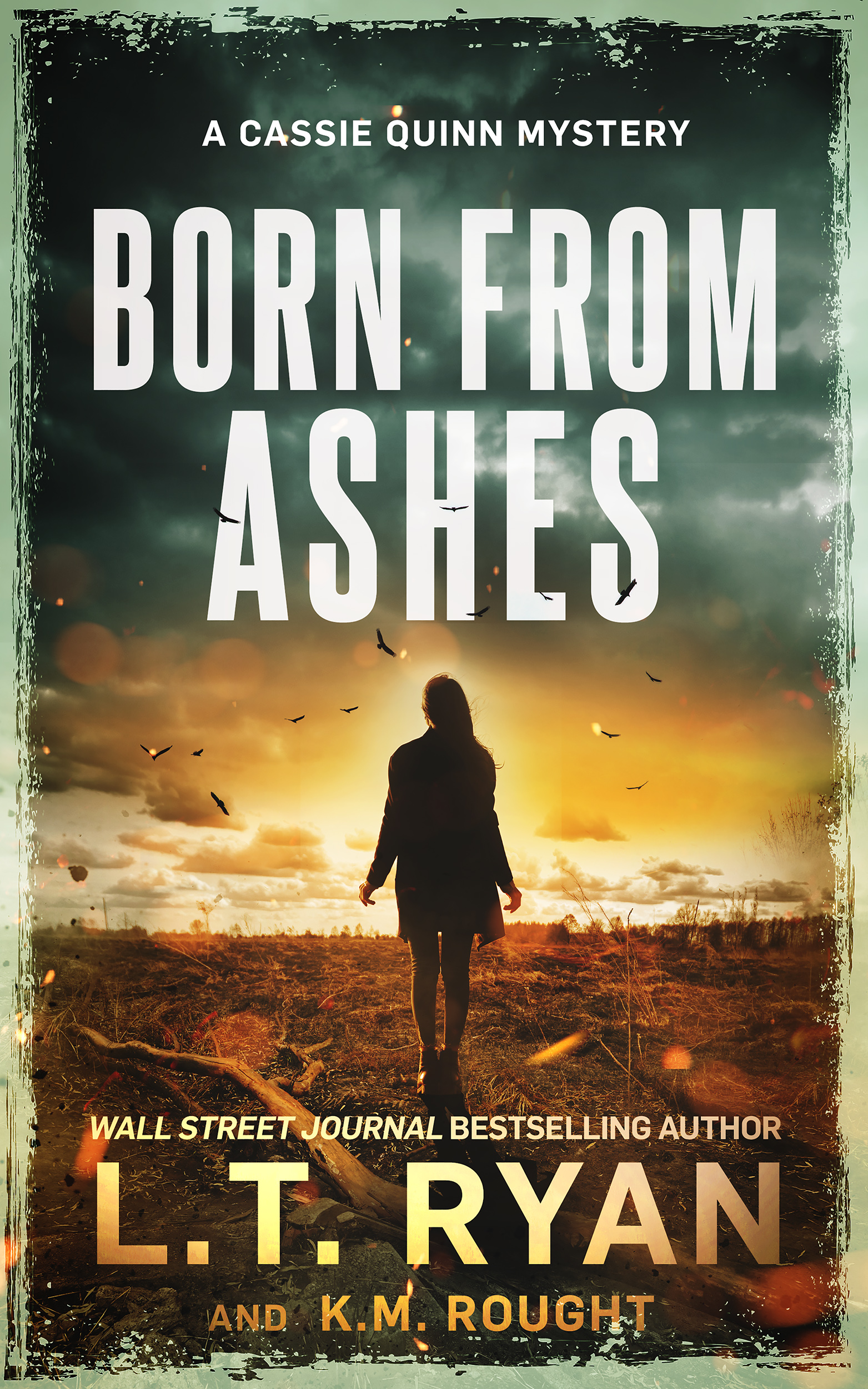 Born from Ashes book cover.