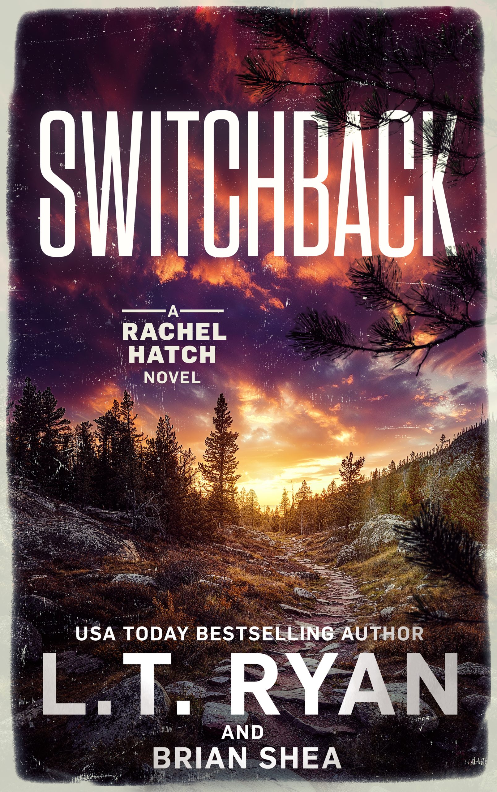 Switchback book cover.