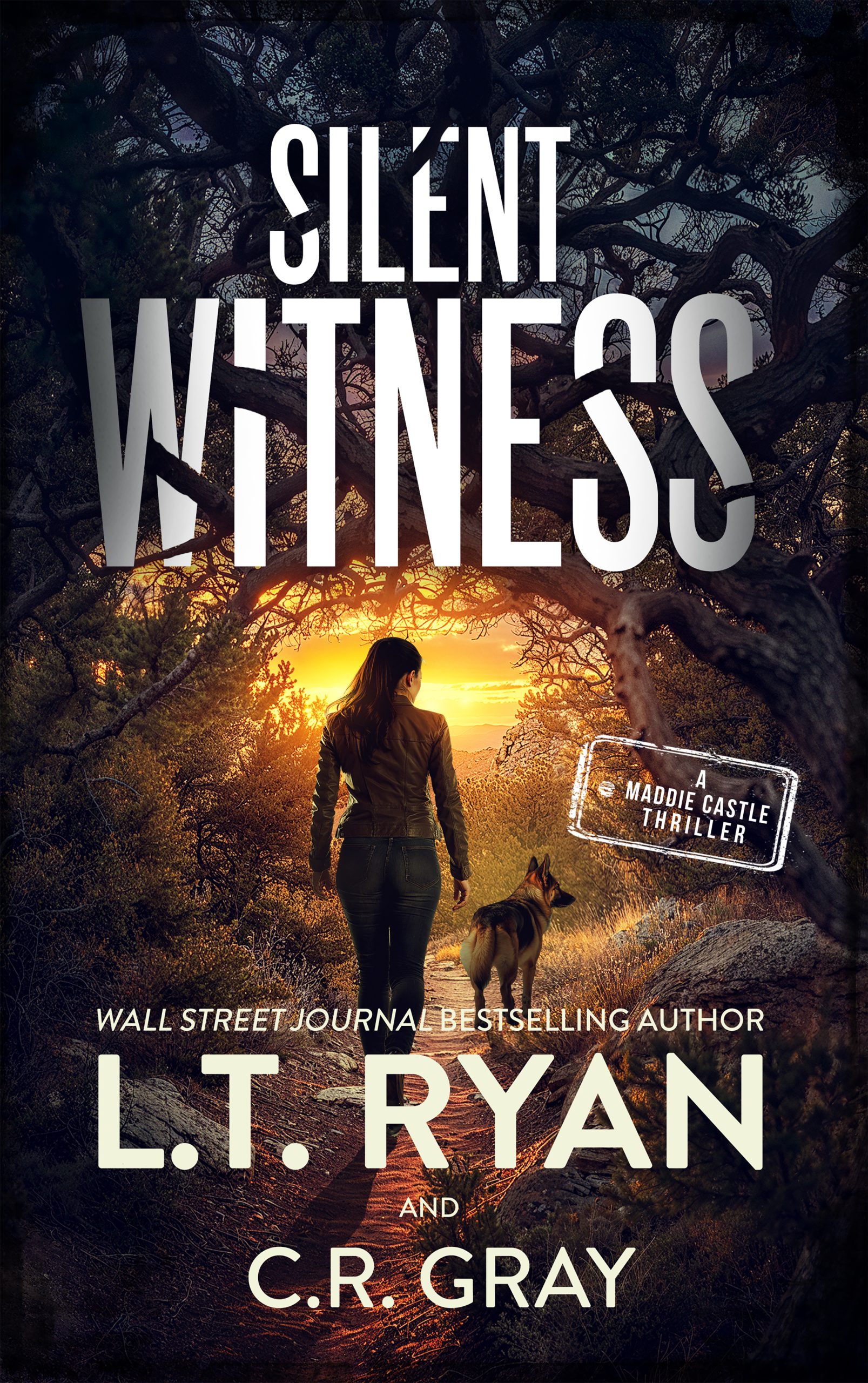 Silent Witness book cover.