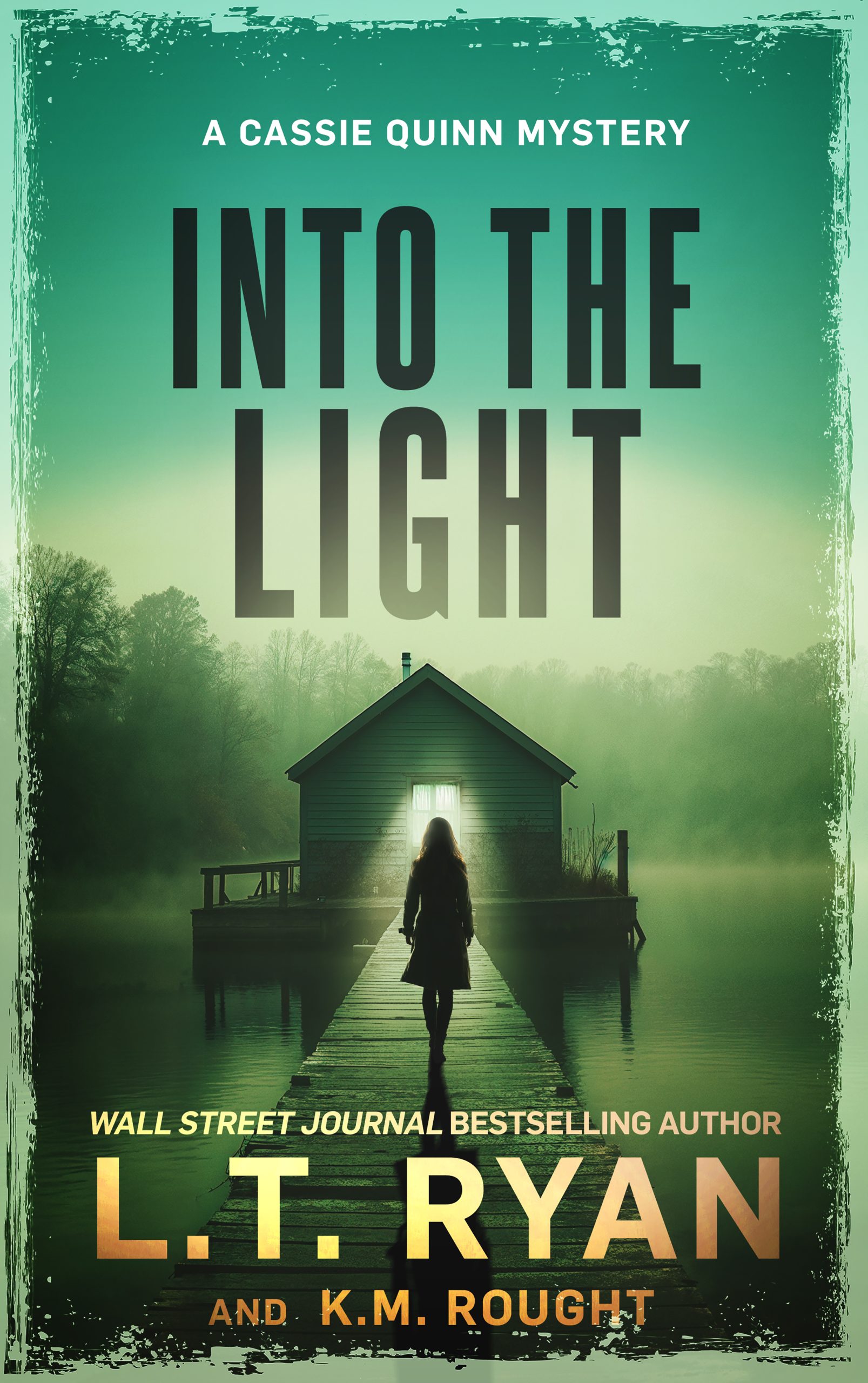 Into the Light book cover.
