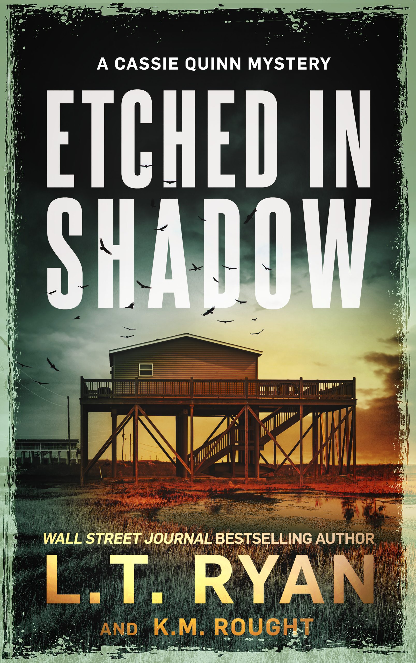 Etched in Shadow book cover.