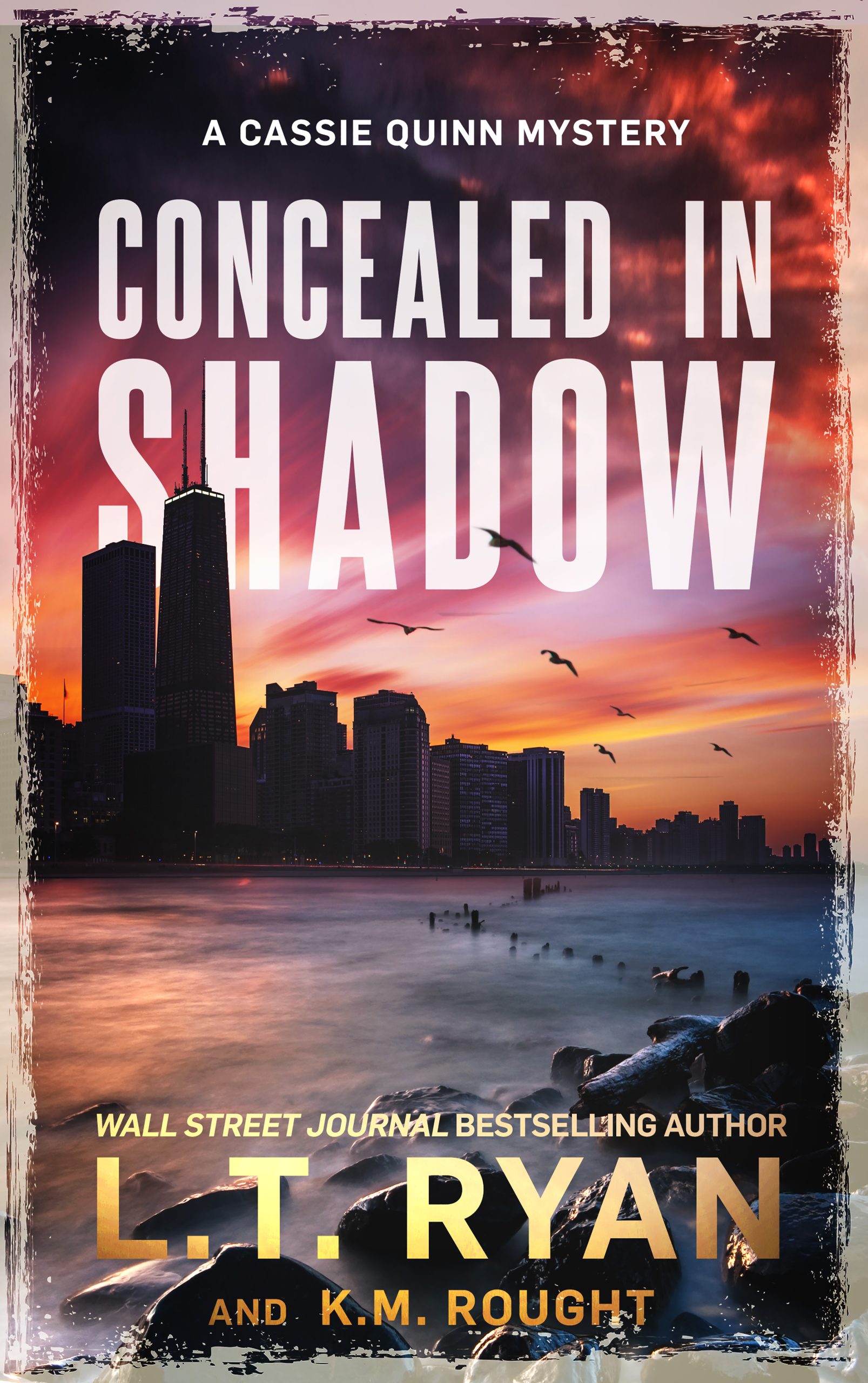 Concealed in Shadow book cover.