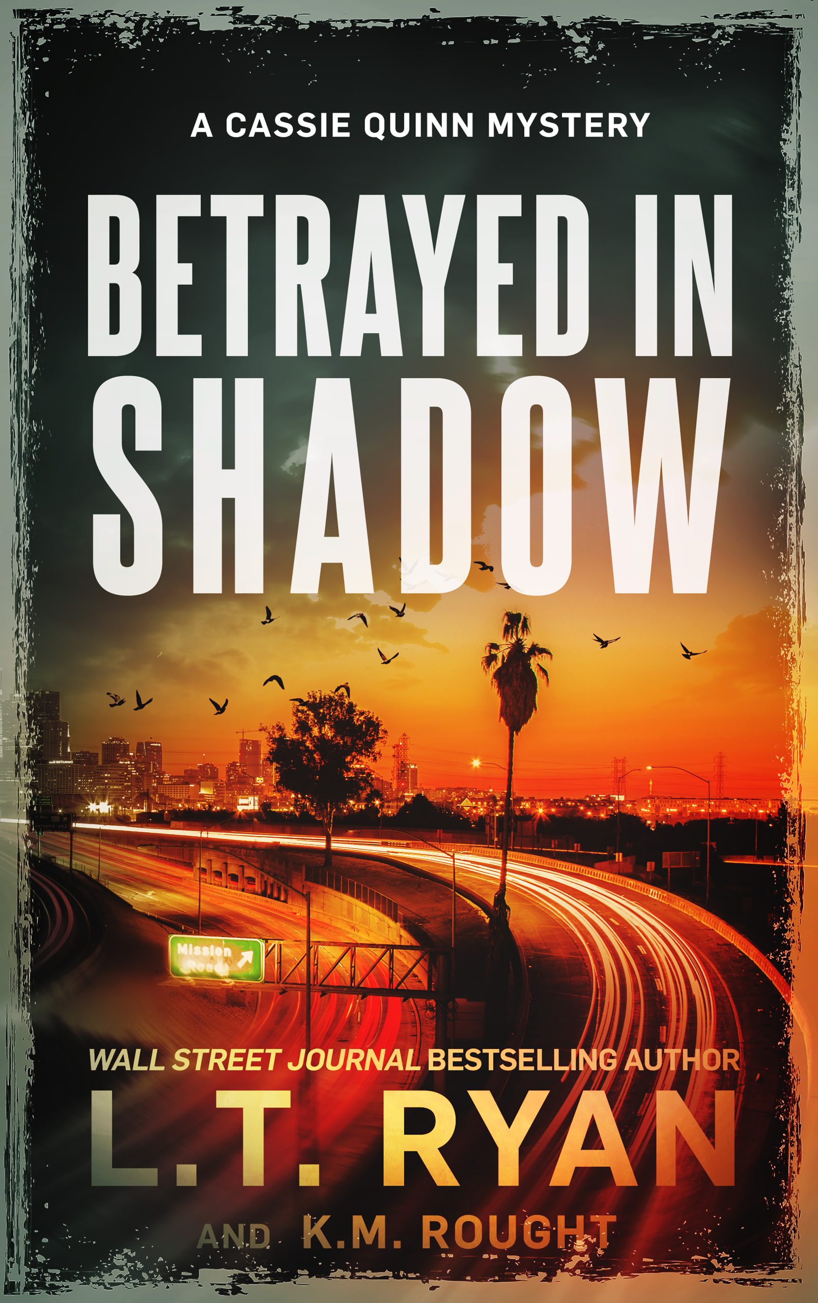 Betrayed in Shadow book cover.
