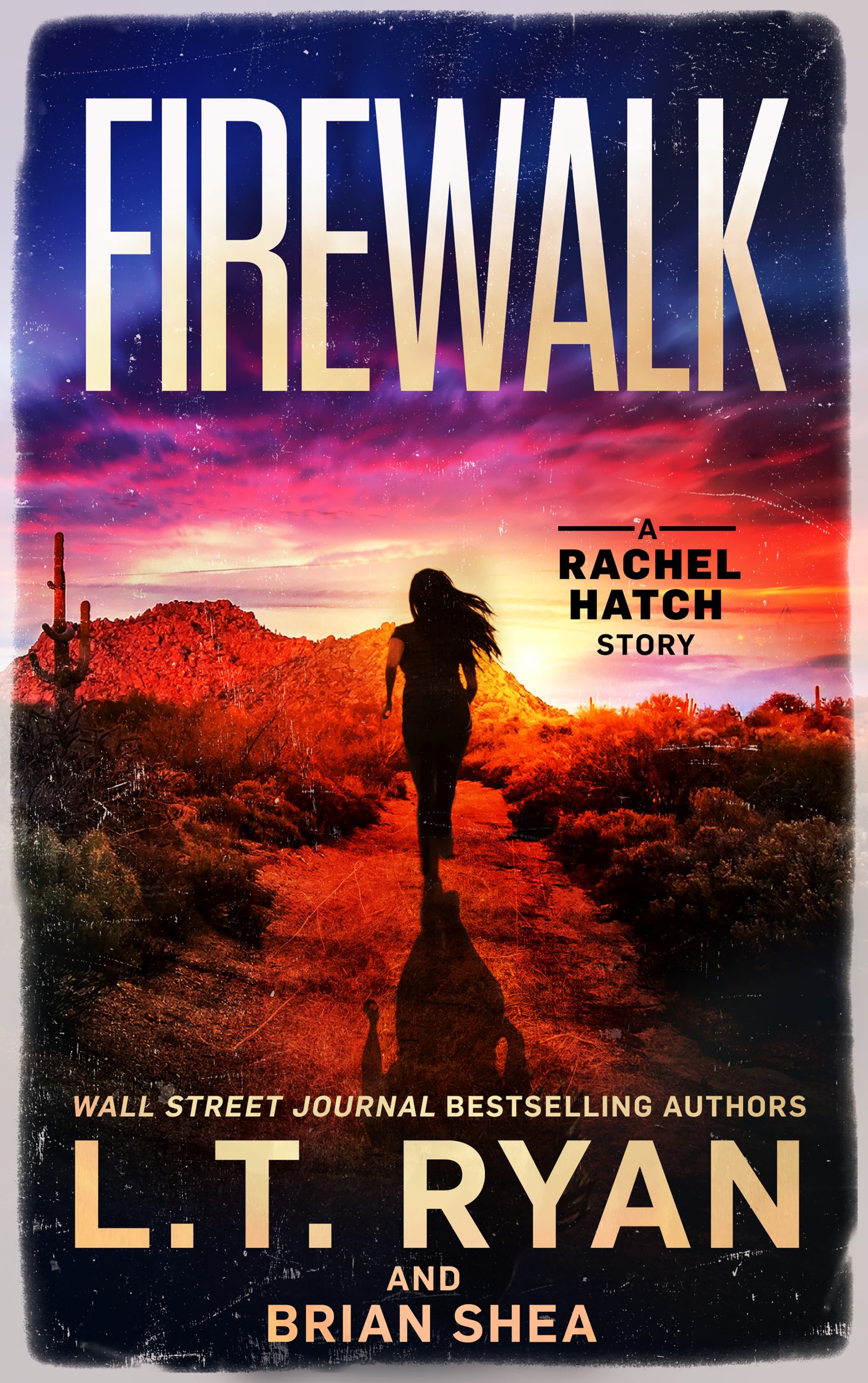Firewalk book cover.