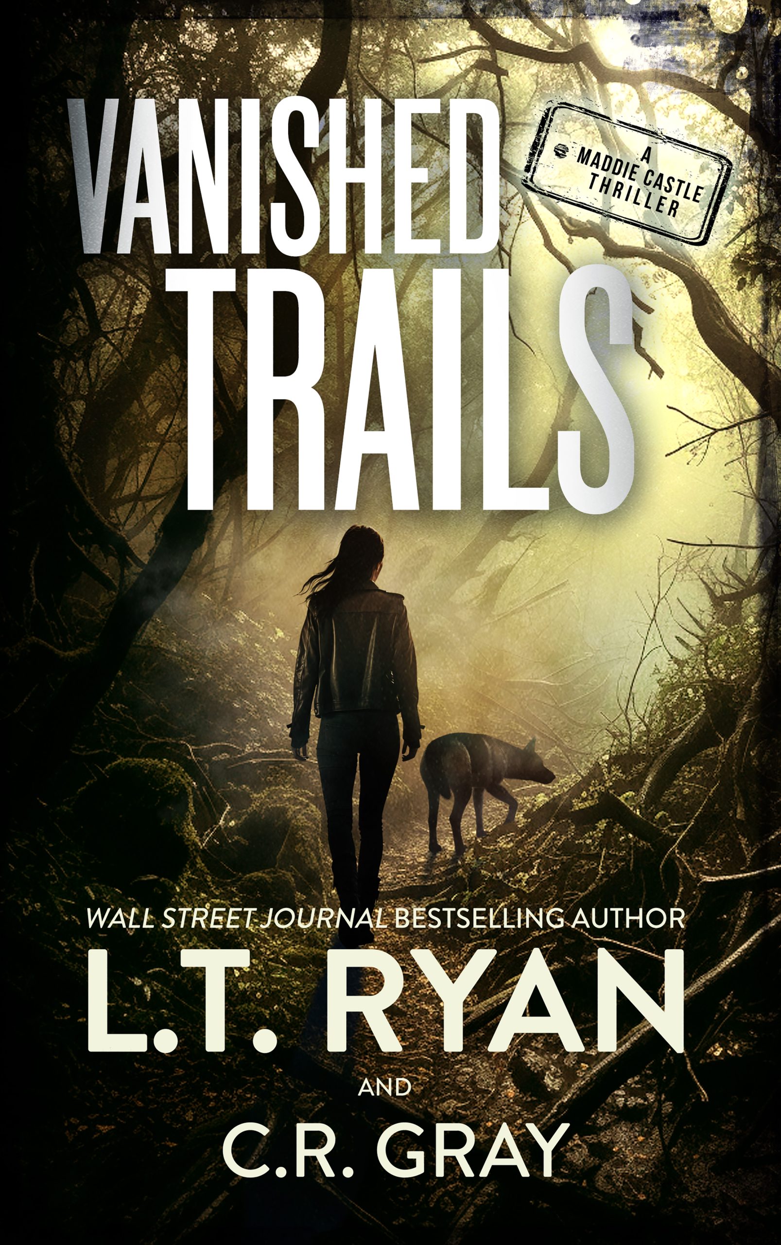 Vanished Trails book cover.