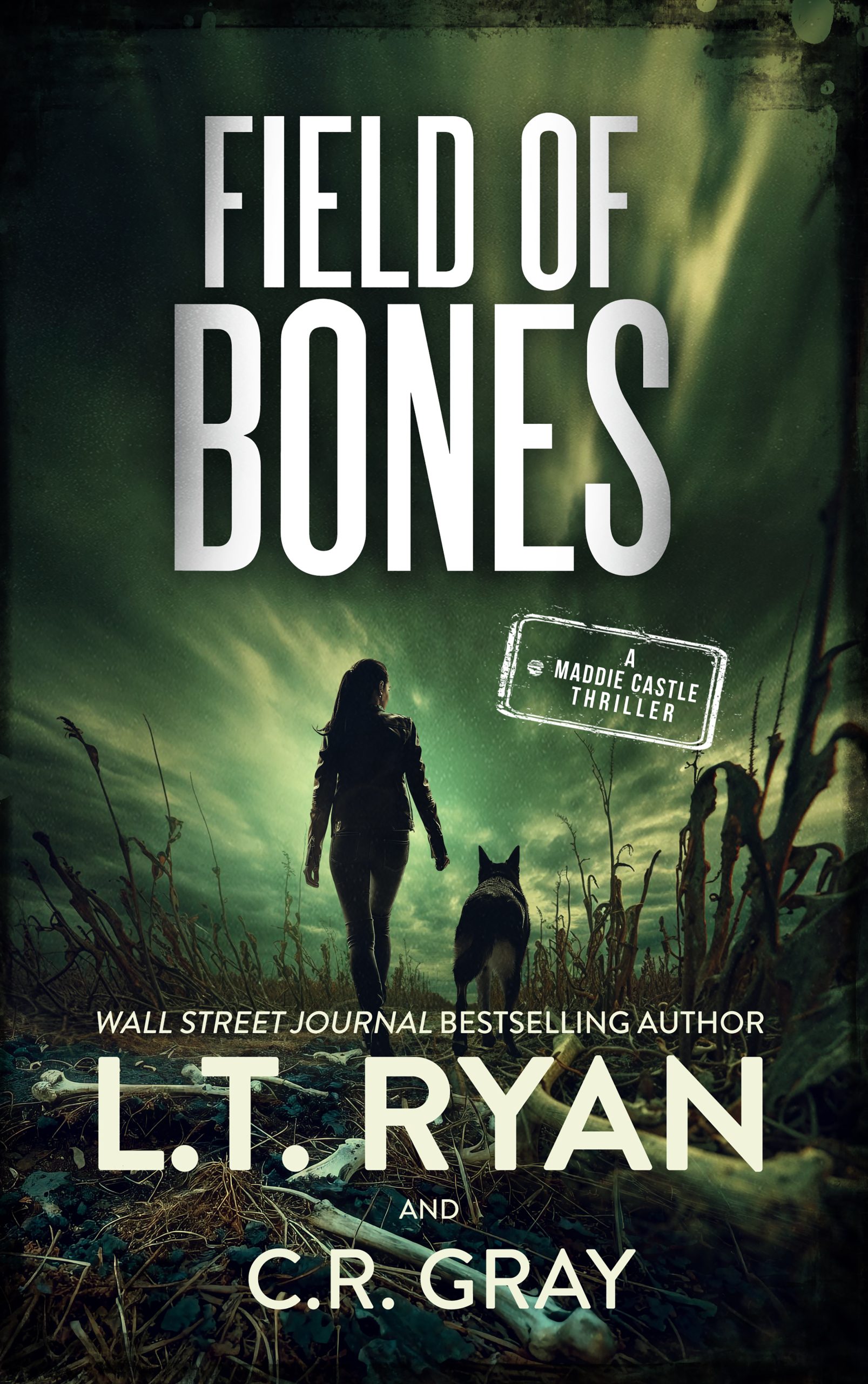 Field of Bones book cover.