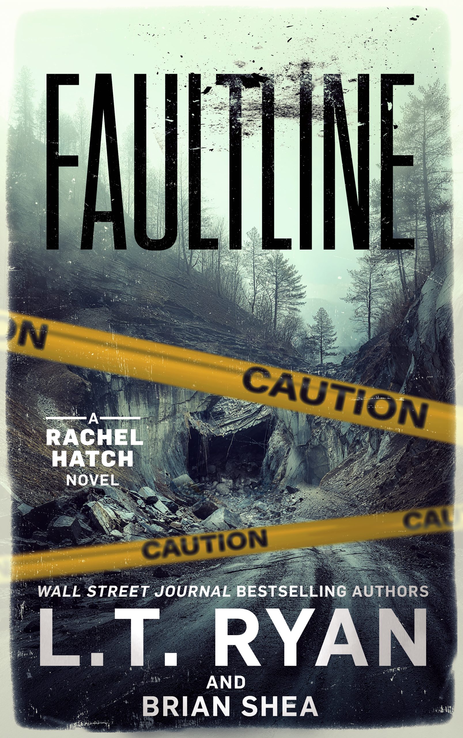Faultline book cover.
